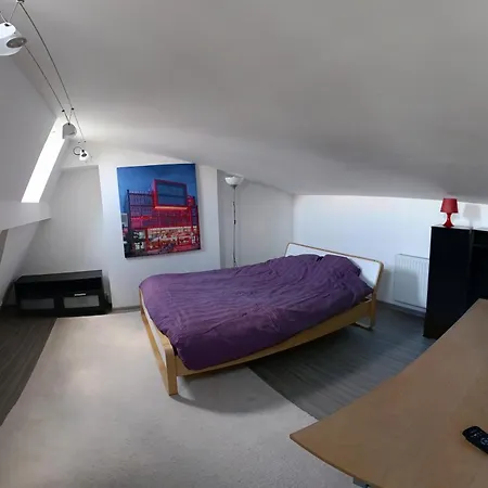 Przytulny Z Lozkiem King-size W Centrum Miasta *